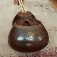 تار قدیمی حرفه‌ای