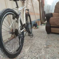 دوچرخه ویوا|دوچرخه، اسکیت، اسکوتر|ایذه, |دیوار