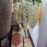 گلدان کنارسالنی