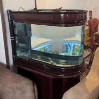 آکواریوم وارداتی