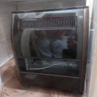 بخاری مشهددوام