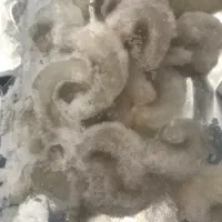 میگو صادراتی|خوردنی و آشامیدنی|شیراز, بازار|دیوار