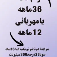 وام ۳۰۰ میلیونی
