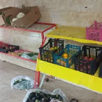 چیدمان میوه