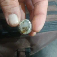 انگشتر شجر