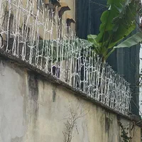 حفاظ دیوار شاخ گوزنی|مصالح و تجهیزات ساختمان|رشت, جانبازان|دیوار