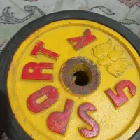 صفحه هالتر