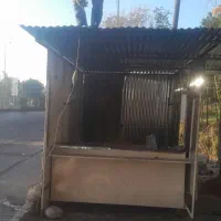 کارگر فلافلی