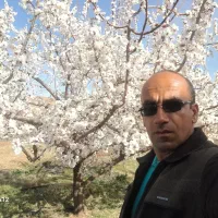 مدارک گم شده بنام وحید قاسمی