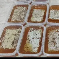 زنبور و عسل