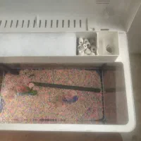 آکواریوم شیشه خم شرکتی در حد نو با تمام وسایل|ماهی|حمیدیا, |دیوار