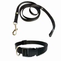 قلاده گربه و سگ|لوازم جانبی حیوانات|تهران, سبلان (لشگر)|دیوار