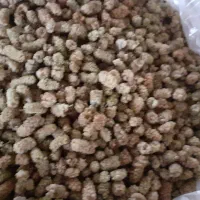 تعدادی شیره سه توت و مربا به و مرباسیب توت خشک|خوردنی و آشامیدنی|اصفهان, جلفا|دیوار