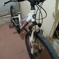 دوچرخه ویوا