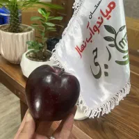 پیش فروش نهال سیب میراکل با ظاهری زیبا