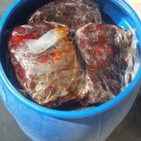 خرما درجه یک و.