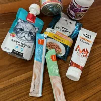 خوراکی گربه|لوازم جانبی حیوانات|ماکو, |دیوار