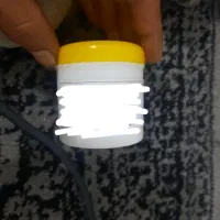 تبخال قارچ تناسلی