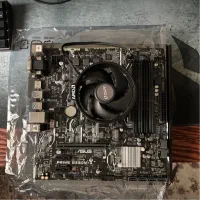 Ryzen 5 2600 + Asus prime b350M-A