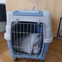 باکس سگ و گربه