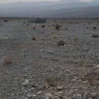فروش زمین  شهر تخت محله اسلام آباد جاده جغان|فروش دفتر صنعتی، کشاورزی، تجاری|تخت, |دیوار