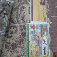 دوعدد قالی ۱۲ متری در حد نو قیمت هر قالی ۸ میلیون|فرش|خورموج, |دیوار