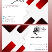 طراح گرافیک حرفه‌ای  کارت ویزیت تراکت پوستر لوگو|خدمات رایانه‌ای و موبایل|تهران, تهران‌ویلا|دیوار