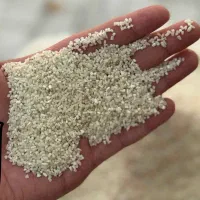 برنج نیم دانه هاشمی امسال