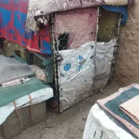 سلام قفس برای مرغ و خروس است.