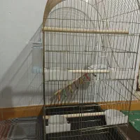 قفس بزرگ و مجهز|لوازم جانبی حیوانات|باقرشهر, |دیوار