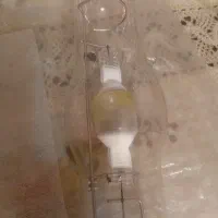 لامپ خیاری اسرام اصل ۲ عدد ۴۰۰ وات|لامپ و چراغ|ساری, |دیوار