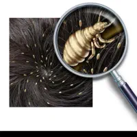 تنها راه حل خلاصی