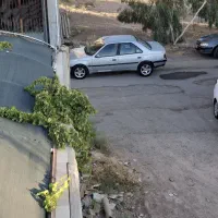 405 مدل 85|خودرو سواری و وانت|کرمان, |دیوار