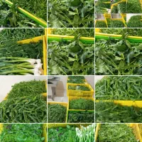 پخش عمده سبزی خوردشده به کل کرج