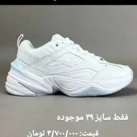 فروش انواع کفش استوک اروپایی وارداتی اصلی|کیف، کفش، کمربند|تهران, تهرانسر مرکزی|دیوار