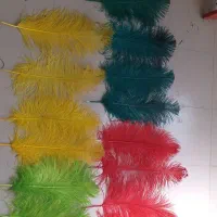 پرعلامت و کلاهخود