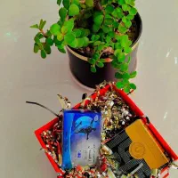 پنکک لاکچری کوین|آرایشی، بهداشتی، درمانی|تهران, اتحاد|دیوار