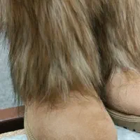 بوت قیمت مناسب