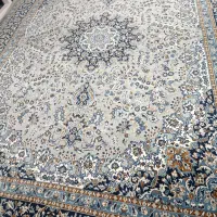 قالی12متری