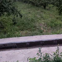 فروش باغ|فروش دفتر صنعتی، کشاورزی، تجاری|میاندوآب, |دیوار