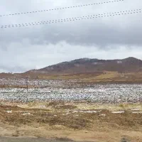 زمین دیم مناسب برای کاشت انگور دیم