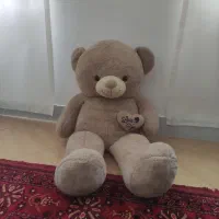 شاسخین