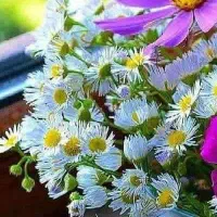 همکار آقا جهت فروشگاه مواد غذایی