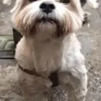 گمشده محدوده شهرک صنعتی خاوران مژدگانی میلیونی