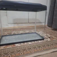 اکواریوم دلسا طول ۶۰