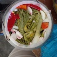 ترشی بادام وحشی و کما