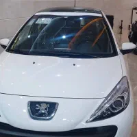 207پانا خشک دنده ای 1404گارانتی فعال