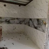 کاشی کار