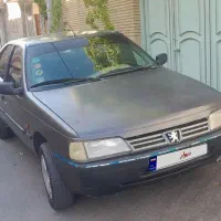 پژو اردی