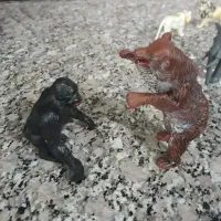 تعدادی  باغ وحشی از حیوانات ا‌‌هلی و  وحشی